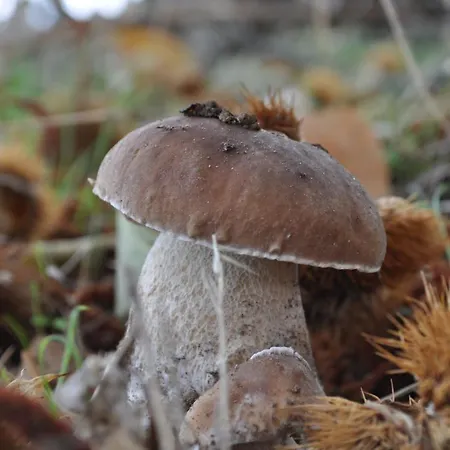 Margarita Ii Landhuis *