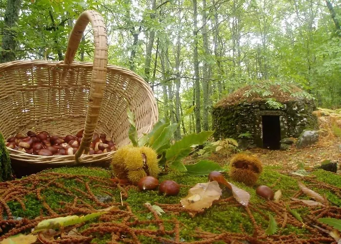 Landhuis Margarita Ii *