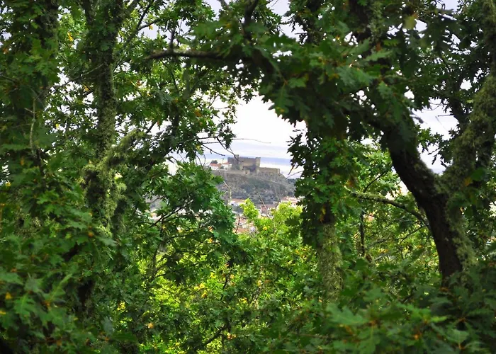 Margarita Ii Montánchez