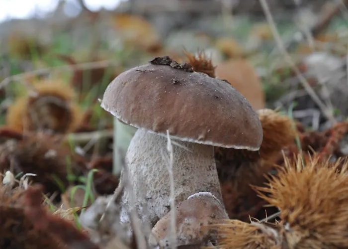 Margarita Ii Landhuis *